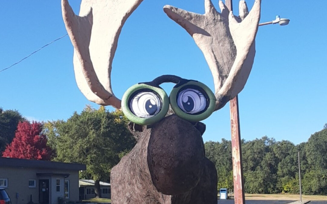 Moose statue with glasses